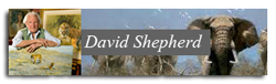 david-shepherd