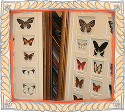 The Picture Framing Shop - fimo