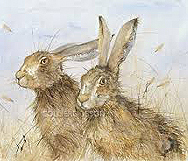 kate-wyatt-hare